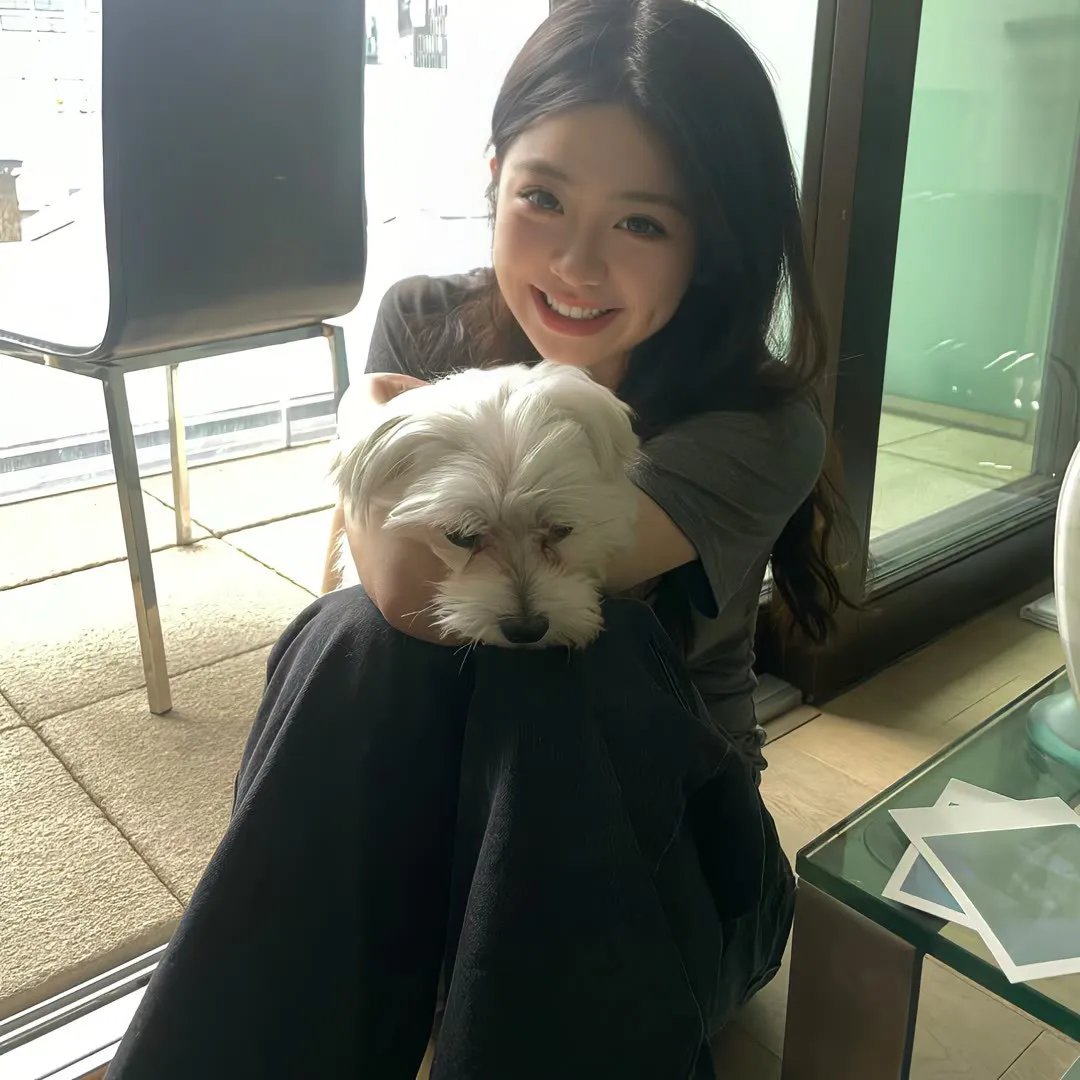 金毛喜迎冬
